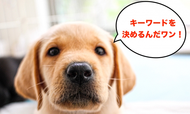 重点キーワードを決めるんだわん!
