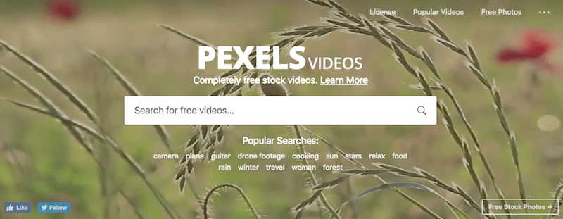 海外の動画サイト　pexels videos
