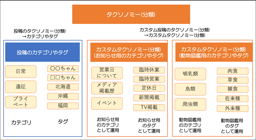カスタムタクソノミー(カスタム分類)の説明図