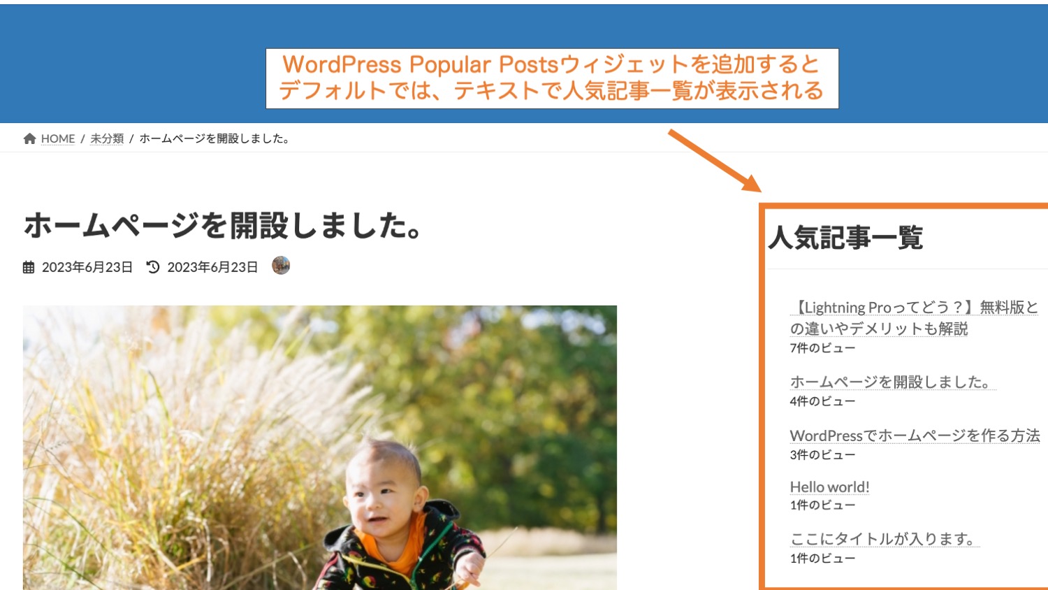 WordPress Popular Postsの表示例