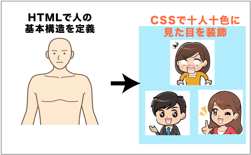 人に例えたイメージ）HTMLは人の構造を定義。CSSで十人十色に見た目を調整