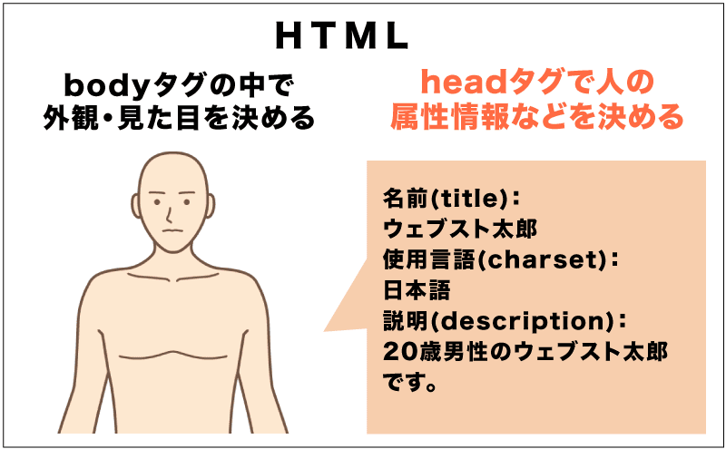 headタグの中で名前や言語・説明文などの属性情報を決める