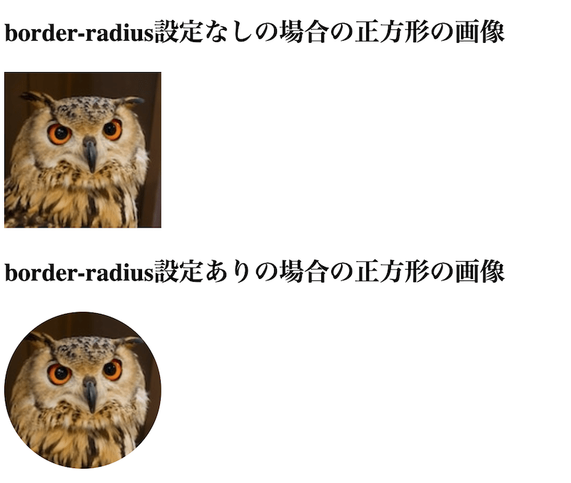 border-radius設定ありの場合の正方形の画像