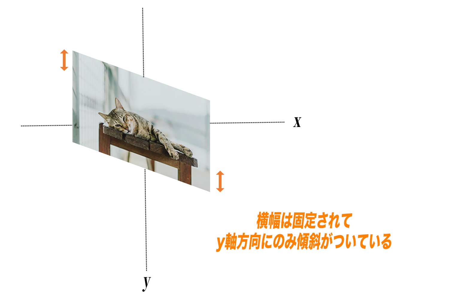 y軸方向にのみ傾斜角度を指定すると、横のサイズは固定され、y軸方向にのみ傾斜を付けることが可能。